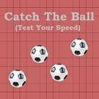 Catch The Ball icône