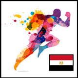 أخبارالرياضة المصرية icône