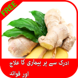 ادرک  کے فائدے