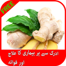 ادرک  کے فائدے APK