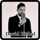 David Bisbal -Me Enamoré De Ti आइकन
