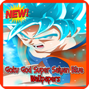 Goku God Super Saiyan Blue Wallpapers APK