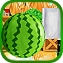 Fate of Freedom: Melon Rush APK