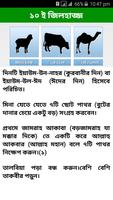 Hajj Guide in Bangla اسکرین شاٹ 3
