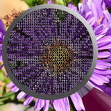 Image to ASCII 圖標
