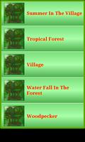 Nature Forest & Jungle Sounds capture d'écran 1