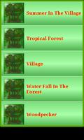 Nature Forest & Jungle Sounds screenshot 1