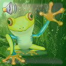 Frogs Sounds & Ringtone APK