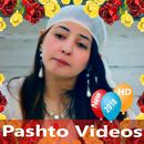 Pashto Videos - 🌺 Songs, Naat, Drama, Tapay 🌷🌹 APK