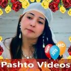 Pashto Videos アイコン