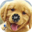 Puppies Gif Pictures APK