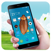 Cockroach Screen (Prank) APK