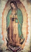 Virgen de Guadalupe 2 ảnh chụp màn hình 2