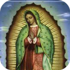Virgen de Guadalupe me protege icône
