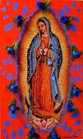 Virgen de Guadalupe me protege poster