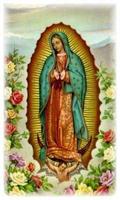 Virgen de Guadalupe Mi Salvadora Plakat