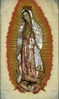 Virgen de Guadalupe Mi Salvadora capture d'écran 2