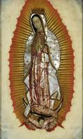 Virgen de Guadalupe Mi Salvadora ภาพหน้าจอ 2