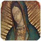 Virgen de Guadalupe nos cuida icon