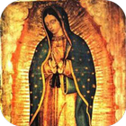 Virgen de Guadalupe Novena 2 biểu tượng