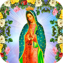 Virgen de Guadalupe Oraciones APK
