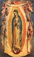 Virgen de Guadalupe Alabada Affiche