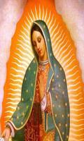 Virgen de Guadalupe Alabada imagem de tela 3