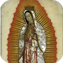 Virgen de Guadalupe Amor Eterno APK