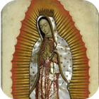 Virgen de Guadalupe Amor Eterno ไอคอน