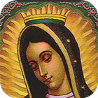 ikon Virgen de Guadalupe Anivesario 12