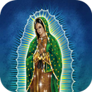 Virgen de Guadalupe buenas noches APK