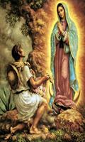 Virgen de Guadalupe Biblia スクリーンショット 3