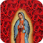 Virgen de Guadalupe Cuida de Mi 图标