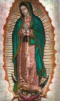 Virgen de Guadalupe Cuida de Mi скриншот 1