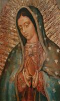 Virgen de Guadalupe dame fuerzas poster