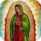 Virgen de Guadalupe de Agradecimiento-icoon