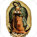 APK Virgen de Guadalupe de Alabanza