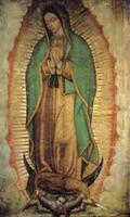 Virgen de Guadalupe de Fortaleza Cartaz