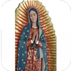 Virgen de Guadalupe Fe y Amor 아이콘