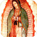 Virgen de Guadalupe Perdoname APK