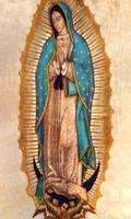 Virgen de Guadalupe Peticiones 2 captura de pantalla 2