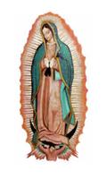 Virgen de Guadalupe que Llora تصوير الشاشة 2