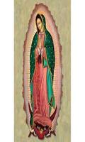 Virgen de Guadalupe que Llora captura de pantalla 3