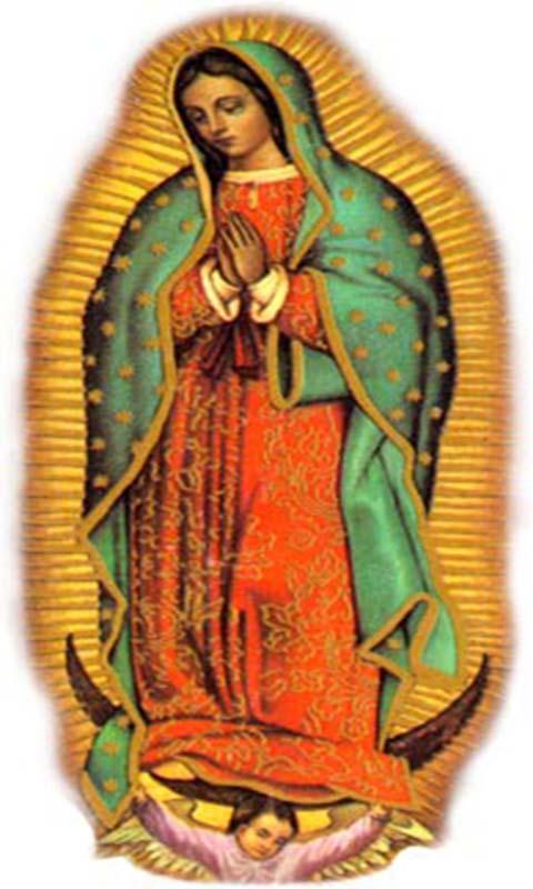 Virgen de Guadalupe Wallpaper for Android - APK Download