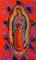 Mensajes Virgen de Guadalupe capture d'écran 1