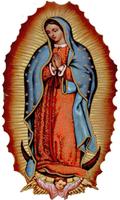 Mensajes Virgen de Guadalupe 截圖 3