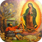 Promesas Virgen de Guadalupe simgesi