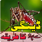 Dengue Treatment in Urdu ikon