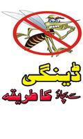 Dengue Treatment in Urdu Poster