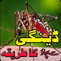 Dengue Treatment in Urdu скриншот 1